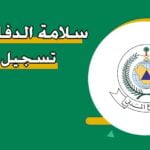 بوابة سلامة